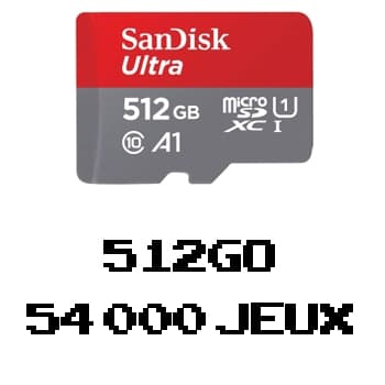 Carte 512Go pour Console RG552