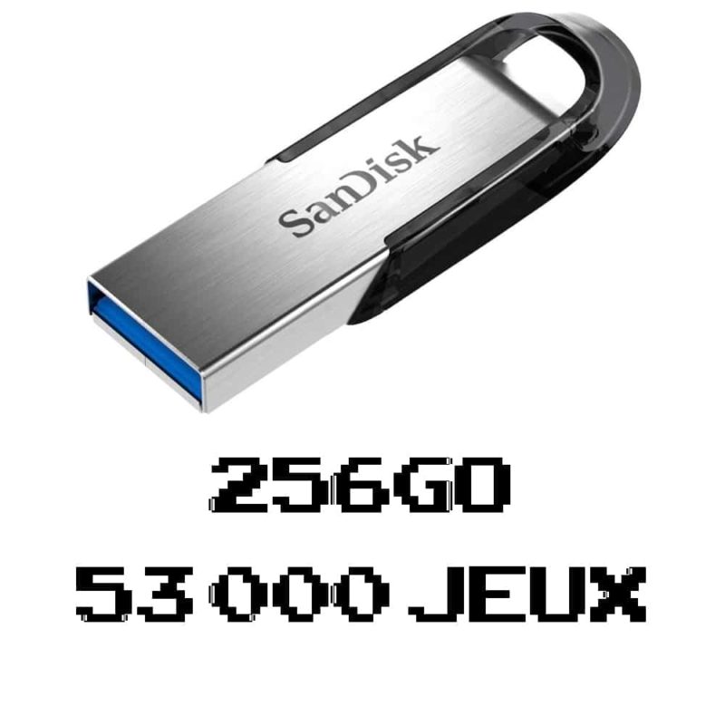 Clé USB 256Go pour Console Retrobox S