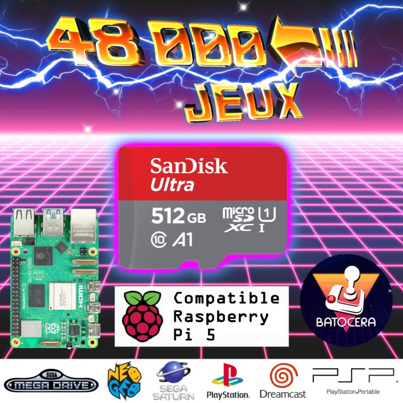 Carte SD 512Go 48000 jeux pour Raspberry Pi5