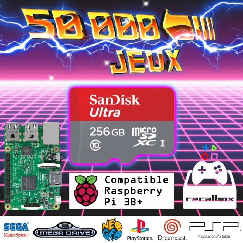 Carte SD 256Go pour Raspberry Pi3